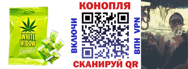 купить наркотики цена  Курчатов  Cannafood конопля 