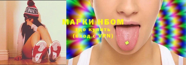хмурый Абаза
