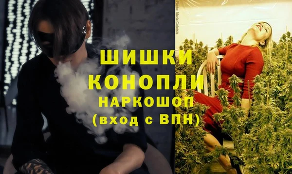 хмурый Абаза