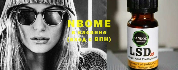 хмурый Абаза